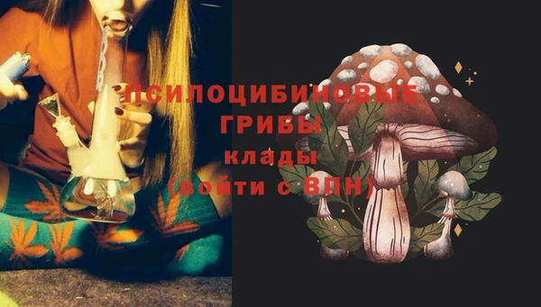 экстази Алексин