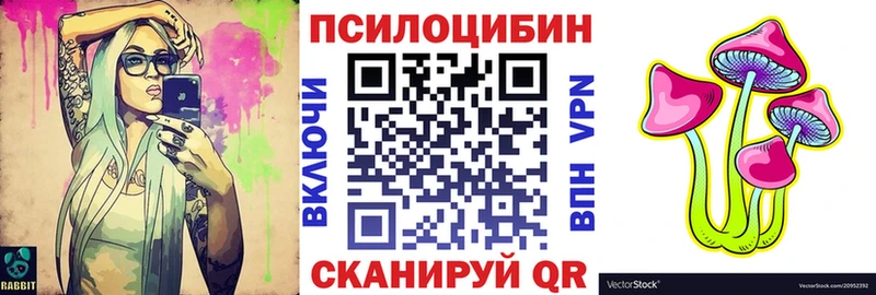 Купить Алексин Псилоцибиновые грибы MAGIC MUSHROOMS
